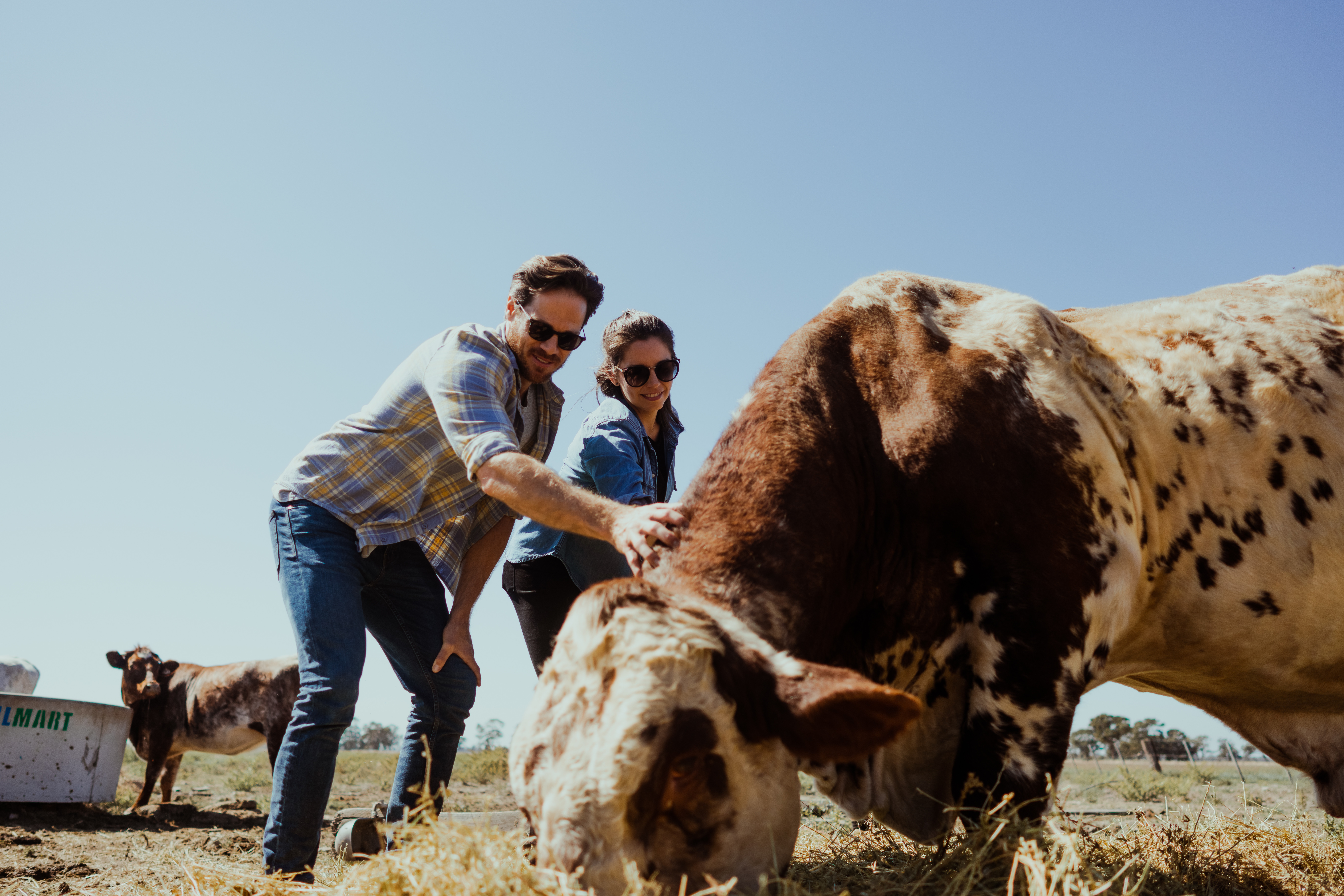 MRT-Numurkah-Eden-Farm-Produce-2022-0015-C-Murray-Regional-Tourism MRT-Numurkah-Eden-Farm-Produce-2022-0015-C-Murray-Regional-Tourism