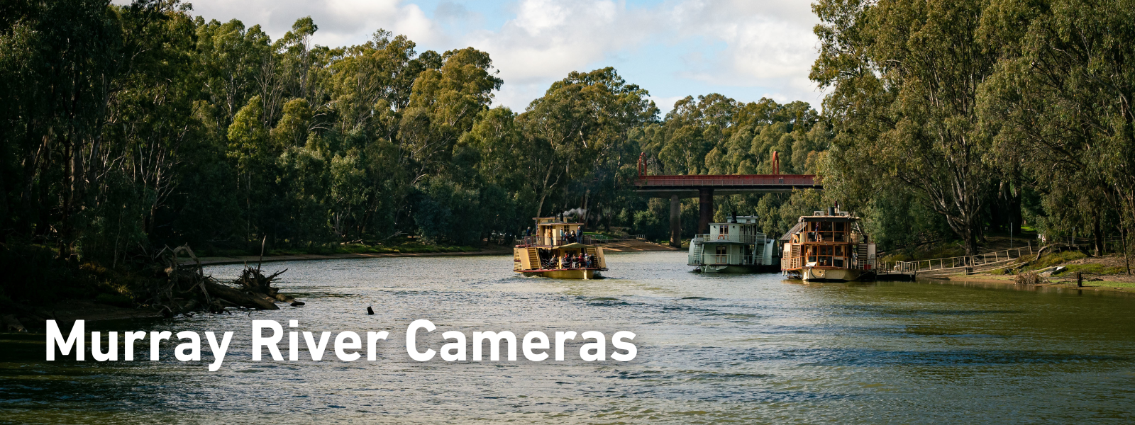 Murray River Cameras Header