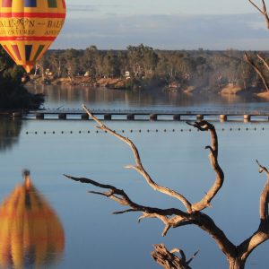 Balloon over a bridge on the Murray River