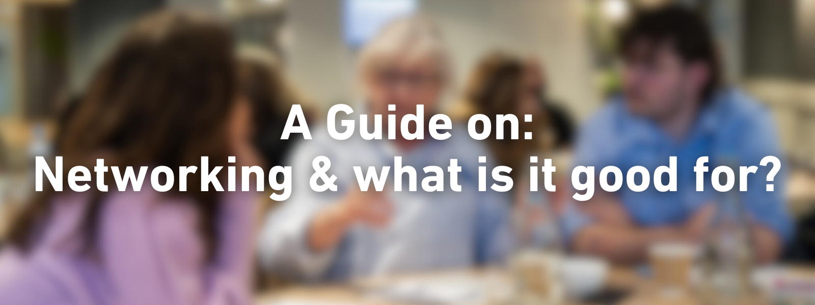 web header - Networking, what is it good for